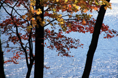 榛名湖水面に紅葉
