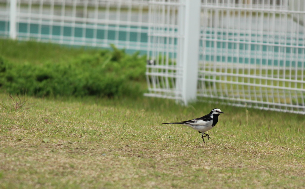 20120530 001 aa