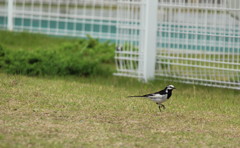 20120530 001 aa