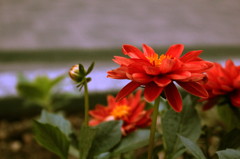20120527 049　a