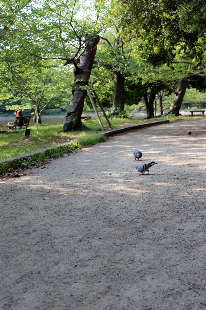 20120504 074 after　公園
