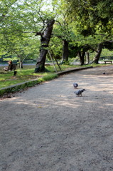 20120504 074 after　公園