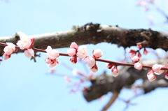 20100320 006