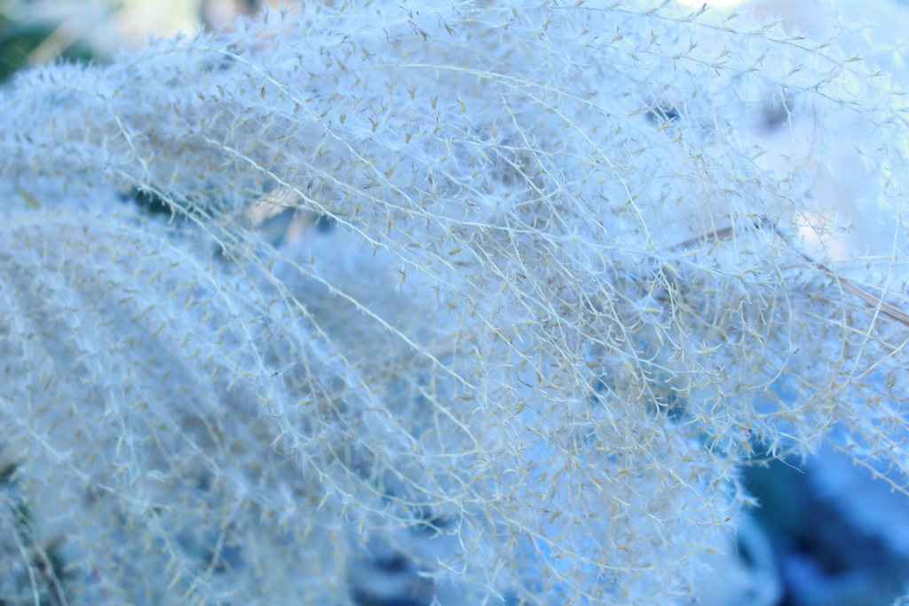 20111225 055