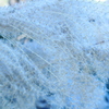 20111225 055