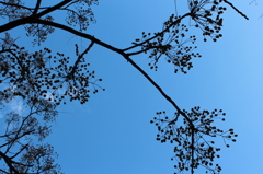 20111225 050