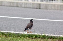 20120530 036 a