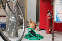 20120527 088 a