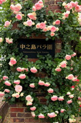 20120521 中之島公園 