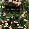 20120521 中之島公園 