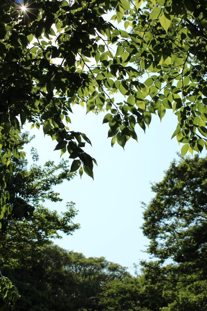 20120504 002 公園