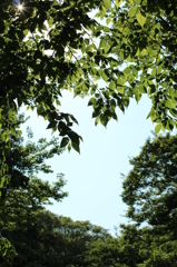 20120504 002 公園