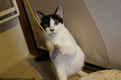 20120504 110