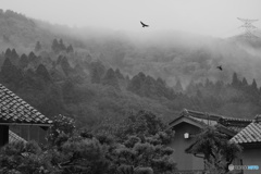 DSCF0481