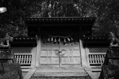 DSCF5002