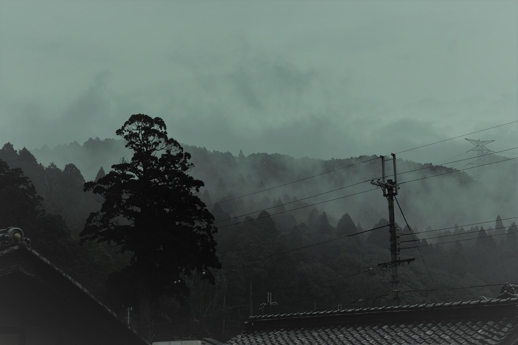 SDIM4335