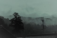 SDIM4335