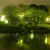 鹿沼公園の夜
