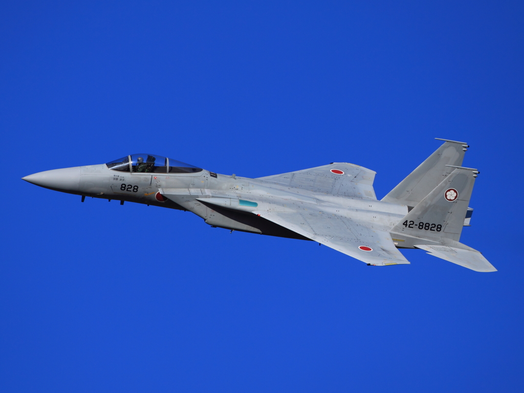 F-15