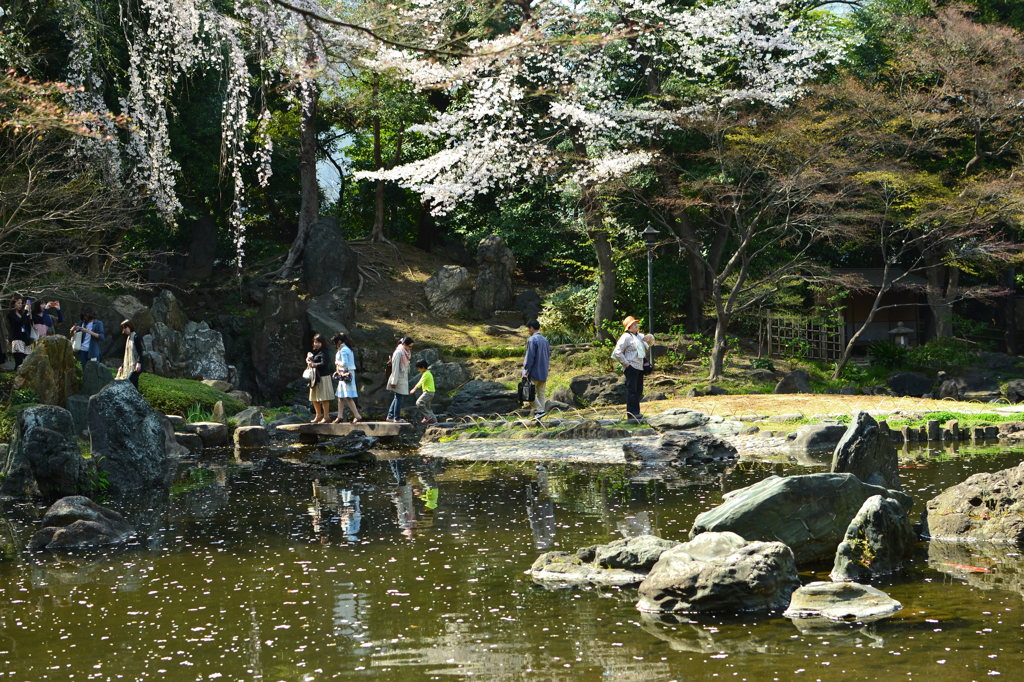 池のほとり
