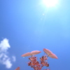 雨だけじゃなく