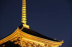 黄金色