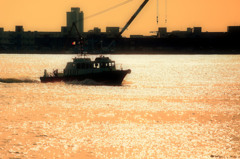 帰港