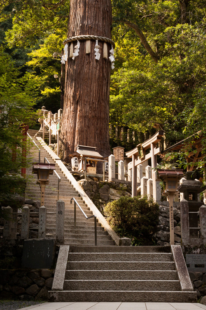 由岐神社 no.01