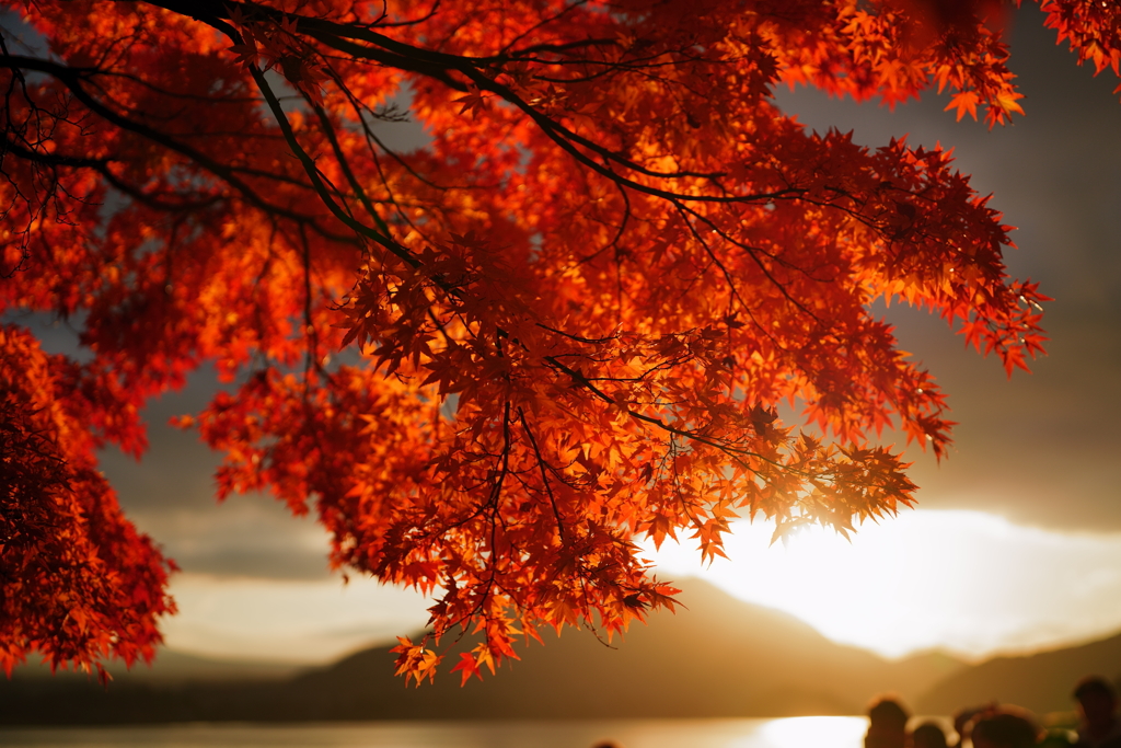 秋の河口湖にて 2025 5