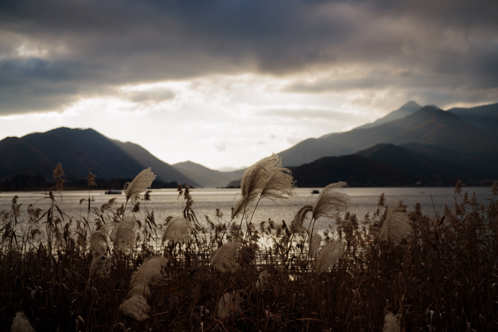 秋の河口湖にて 2025 1