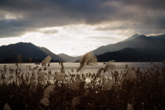 秋の河口湖にて 2025 1