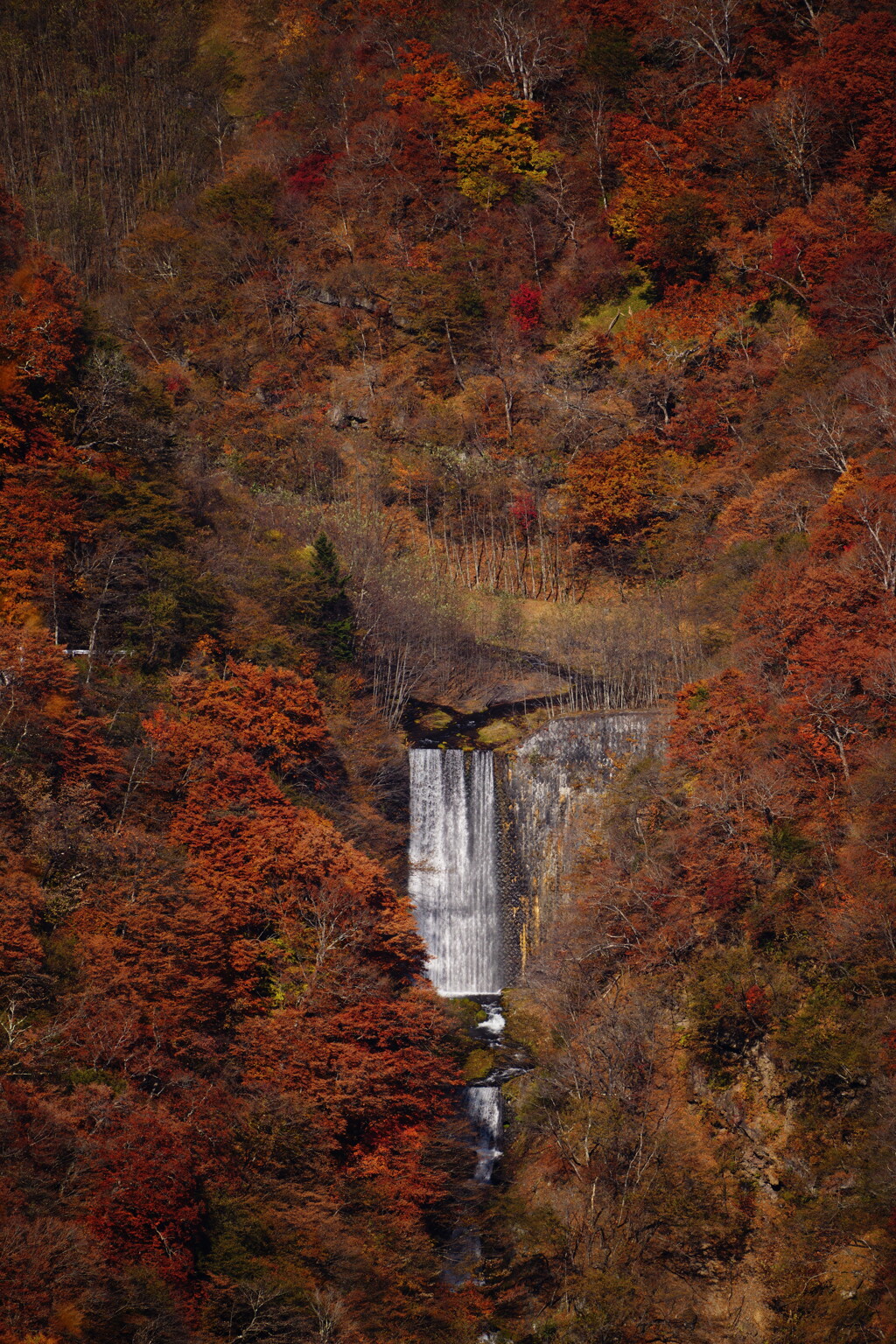 日光 明智平にて 3