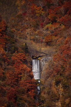 日光 明智平にて 3