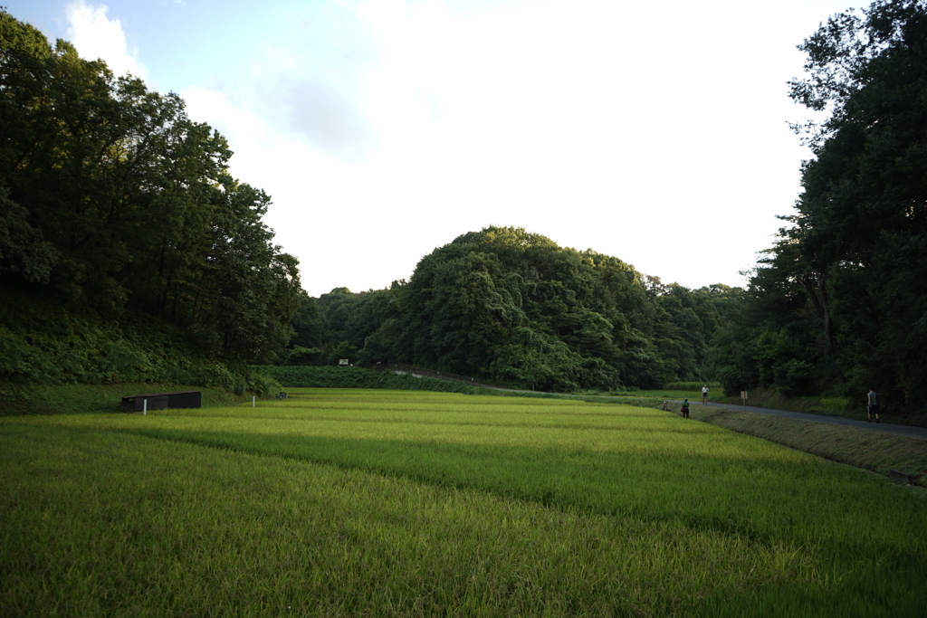 寺家ふるさと村にて ８