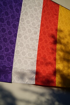 2026新春 東京スナップ 6