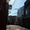 散歩スナップ 11