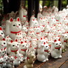 豪徳寺にて 4