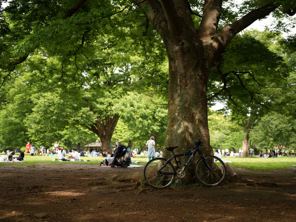 GWの代々木公園 2