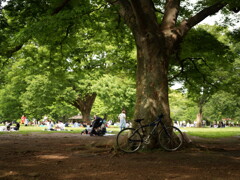 GWの代々木公園 2