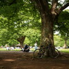 GWの代々木公園 2