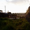 谷本川にて 2