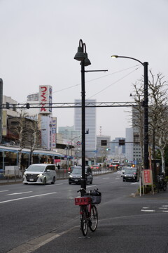 築地にて 1