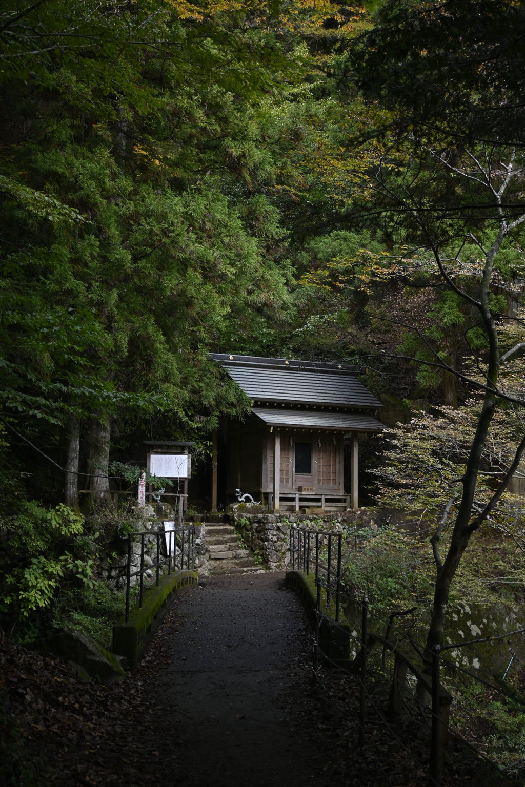 丹沢大山にて　二重神社