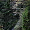 丹沢大山にて　1