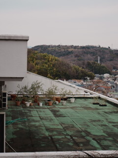 湘南・二宮にて スナップ 3