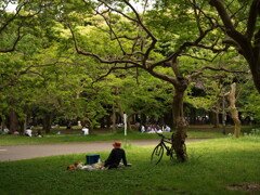 GWの代々木公園 3