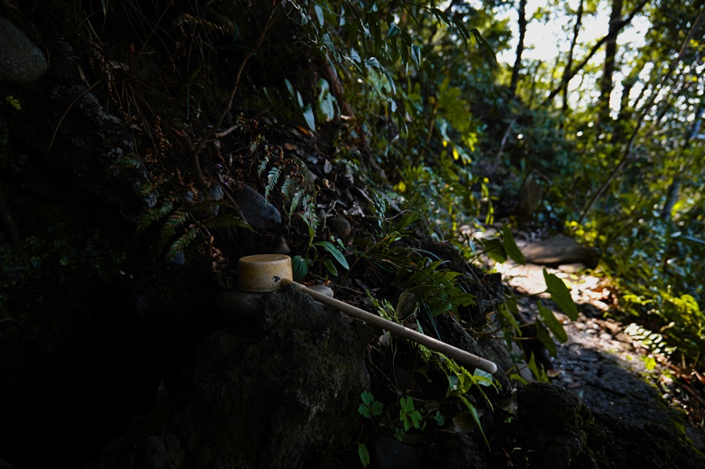 散歩スナップ 13