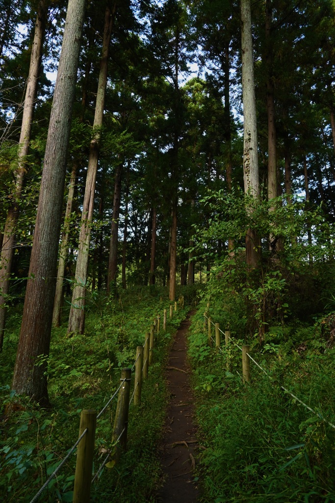 小山田緑地にて