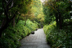 散歩スナップ 27
