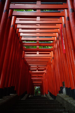 東京・日枝神社にて　1